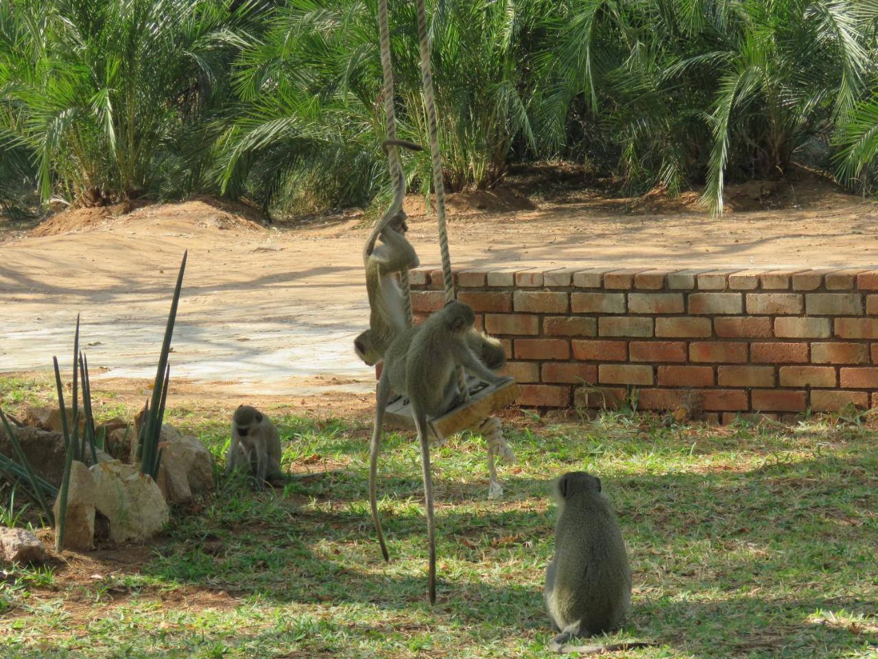Вилла Kruger View Tree House Марлот-Парк Экстерьер фото